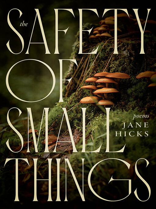 Title details for The Safety of Small Things by Jane Hicks - Available